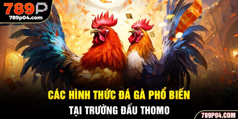 Các hình thức đá gà phổ biến tại trường đấu Thomo