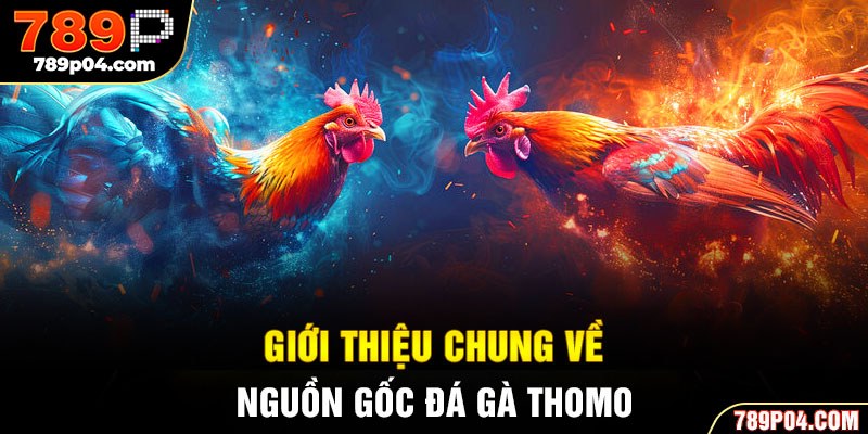 Giới thiệu chung về nguồn gốc đá gà Thomo